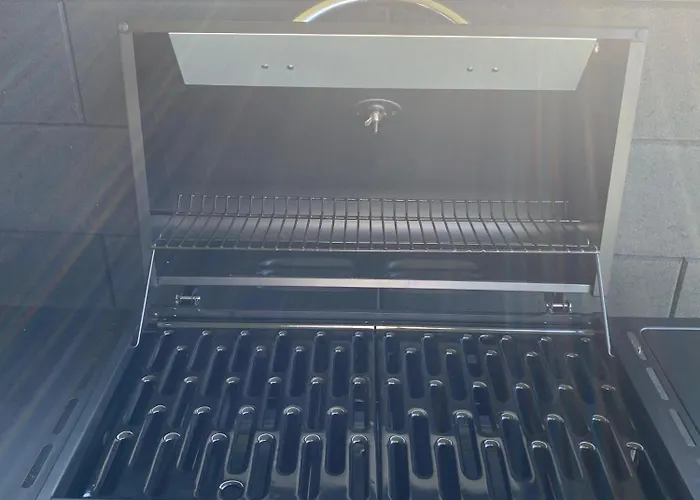 Panorama-paradies Im Rheintal *